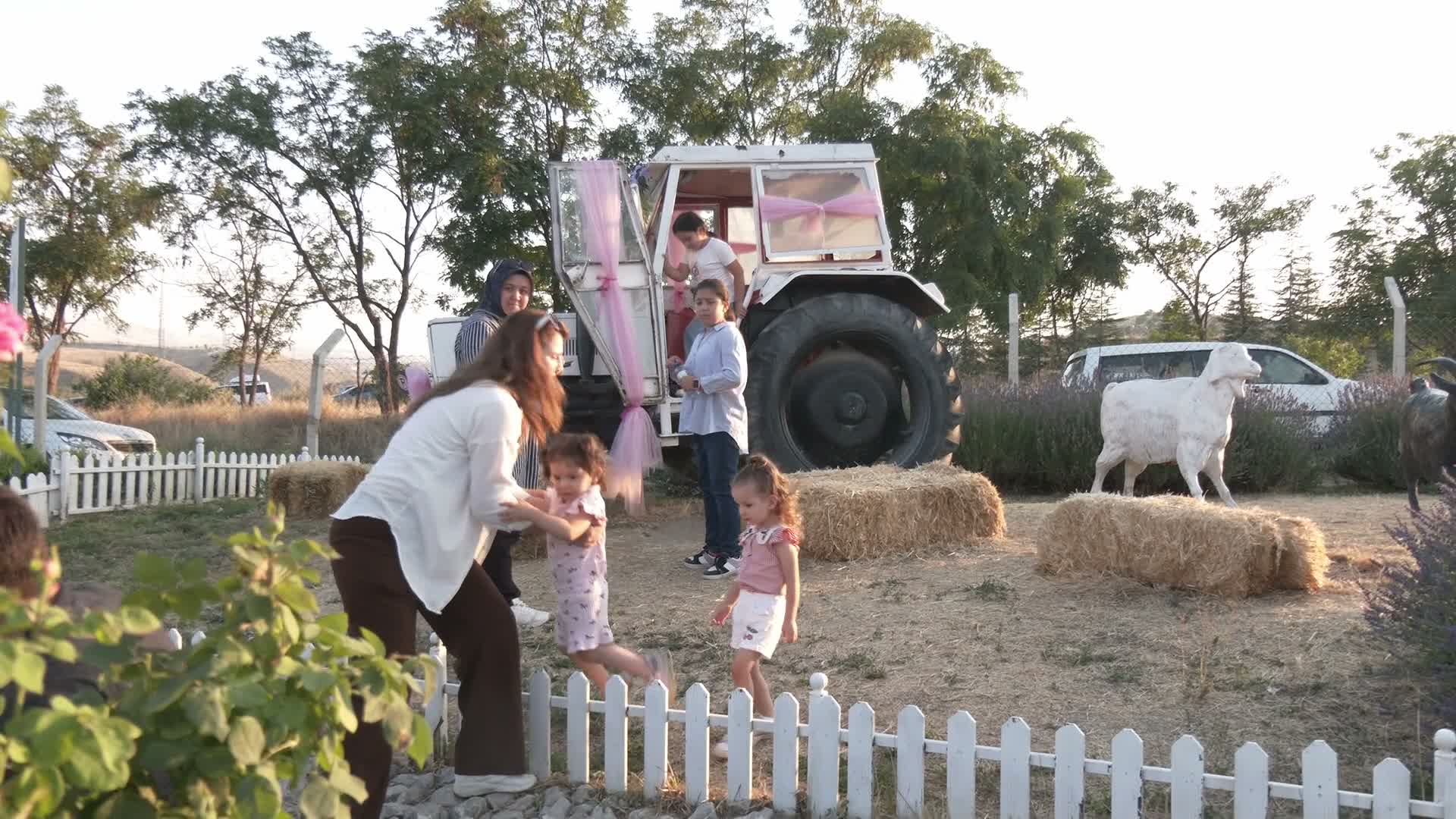 Lavanta Şenliği