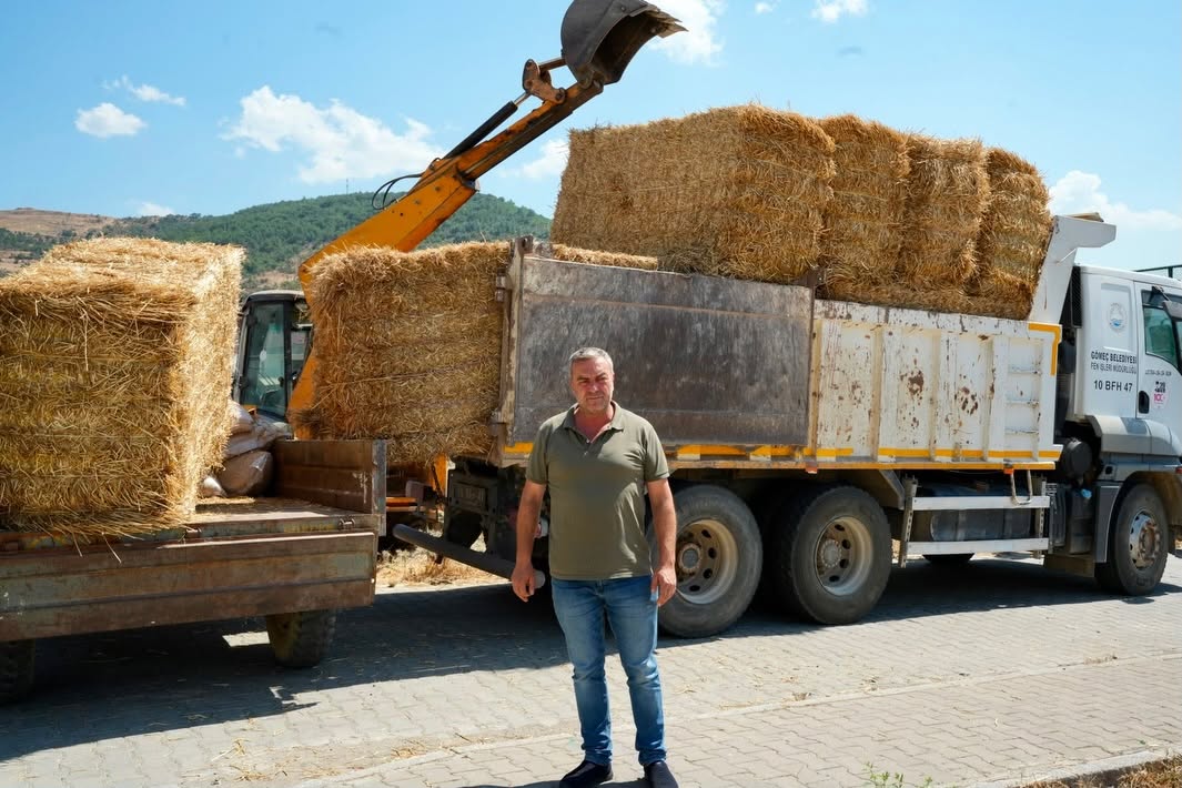 Yangın Desteği
