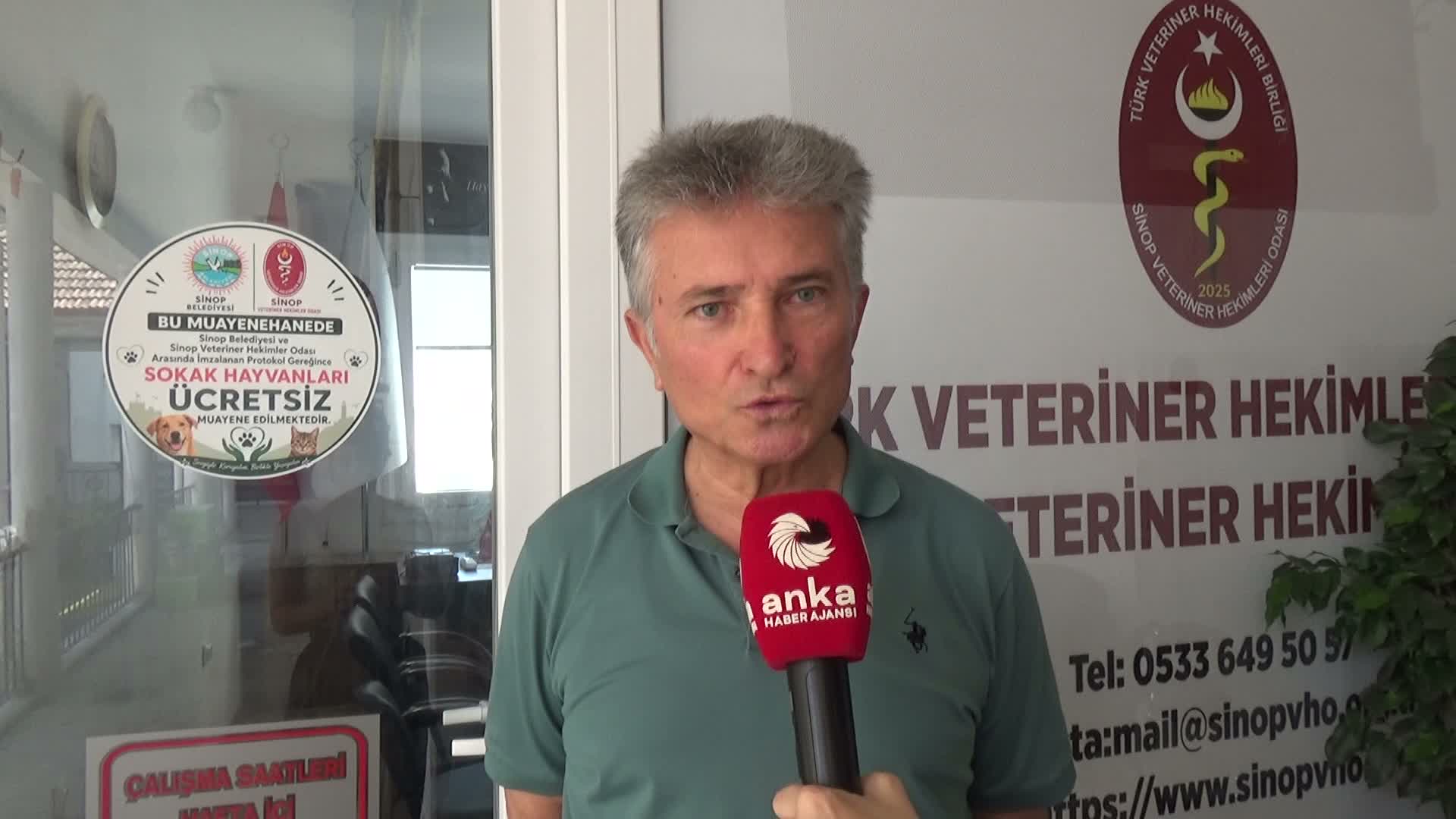 Sinop’ta sahipsiz