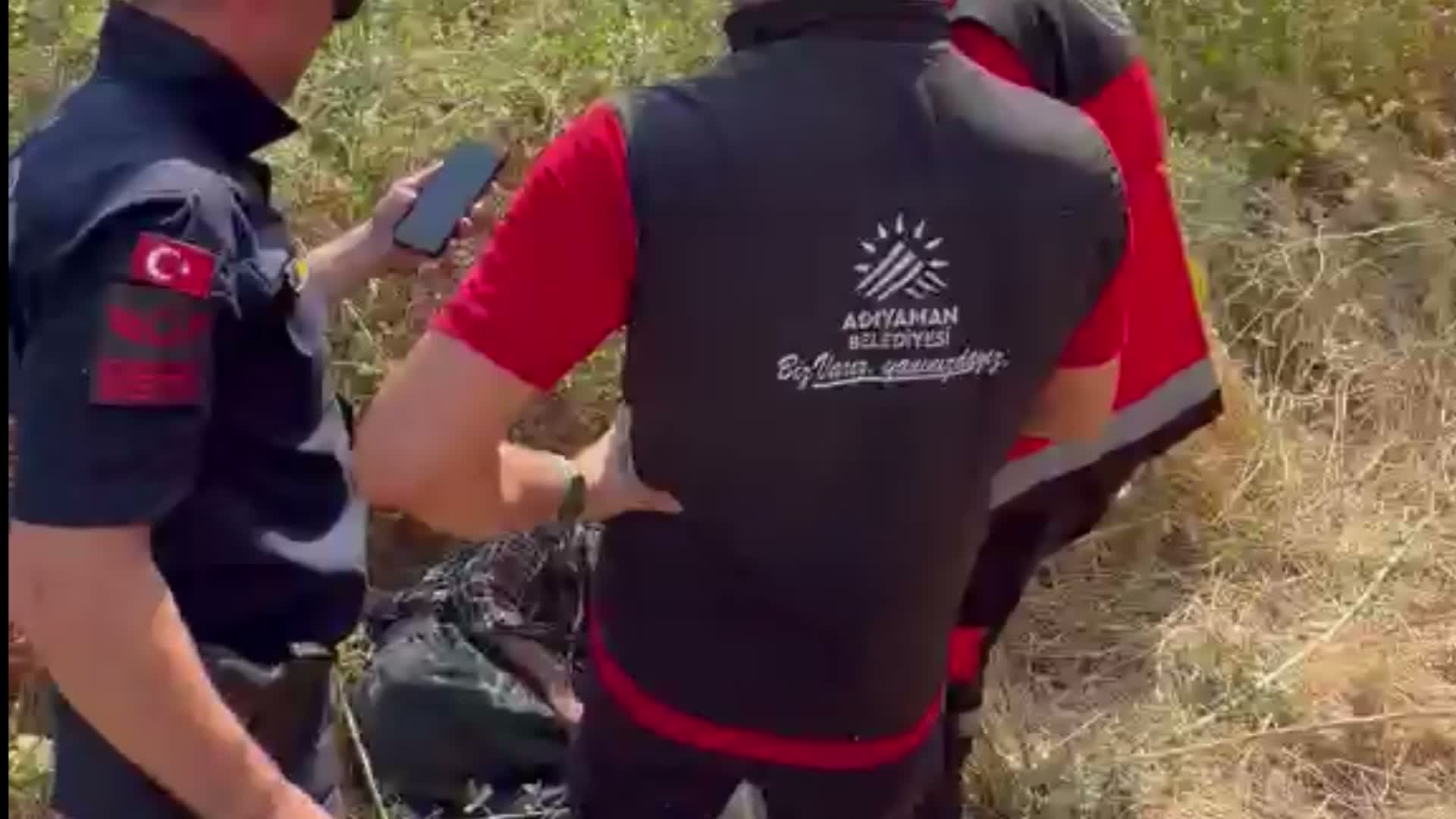 Alzheimer Hastası Arama