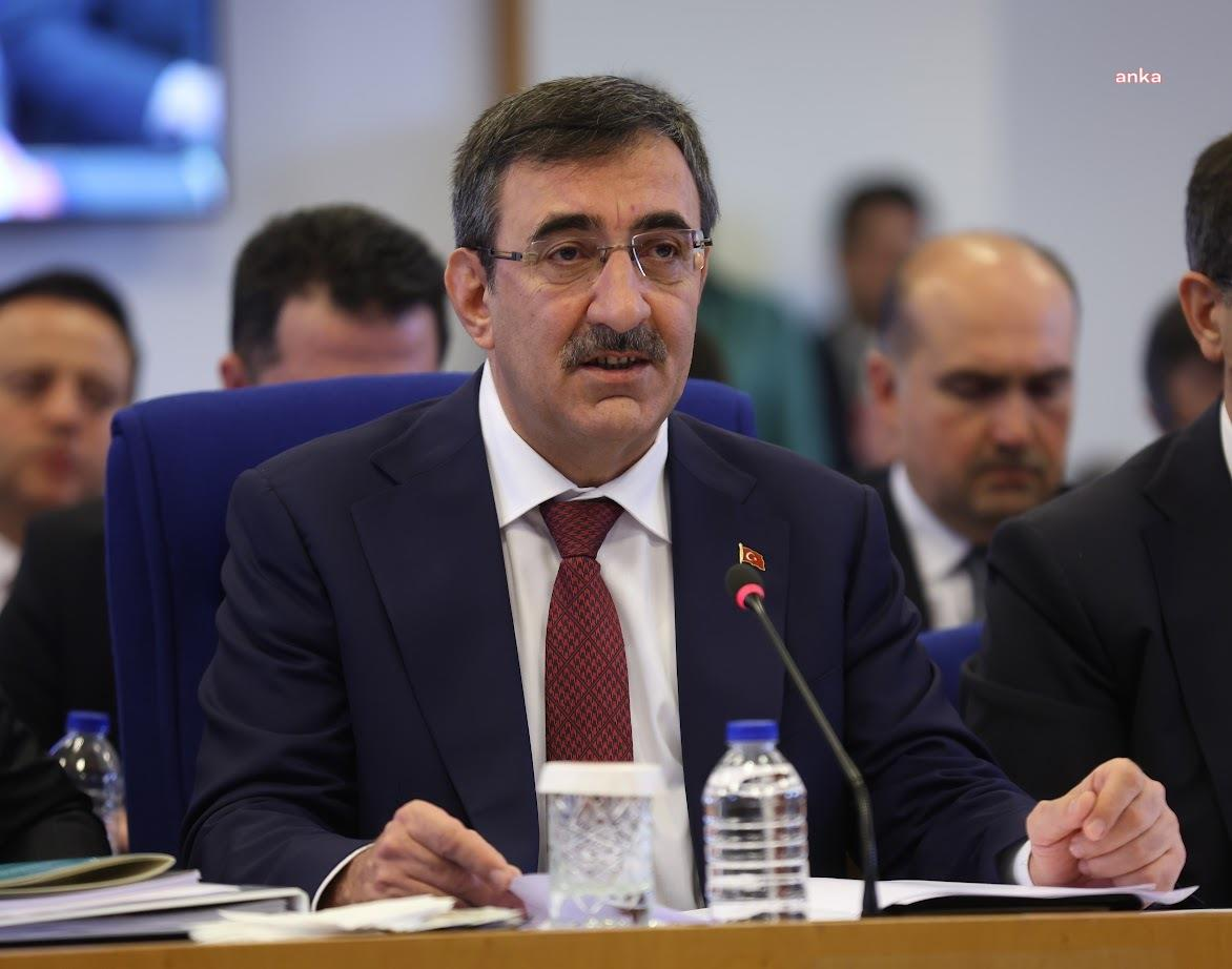 Cumhurbaşkanı Yardımcısı