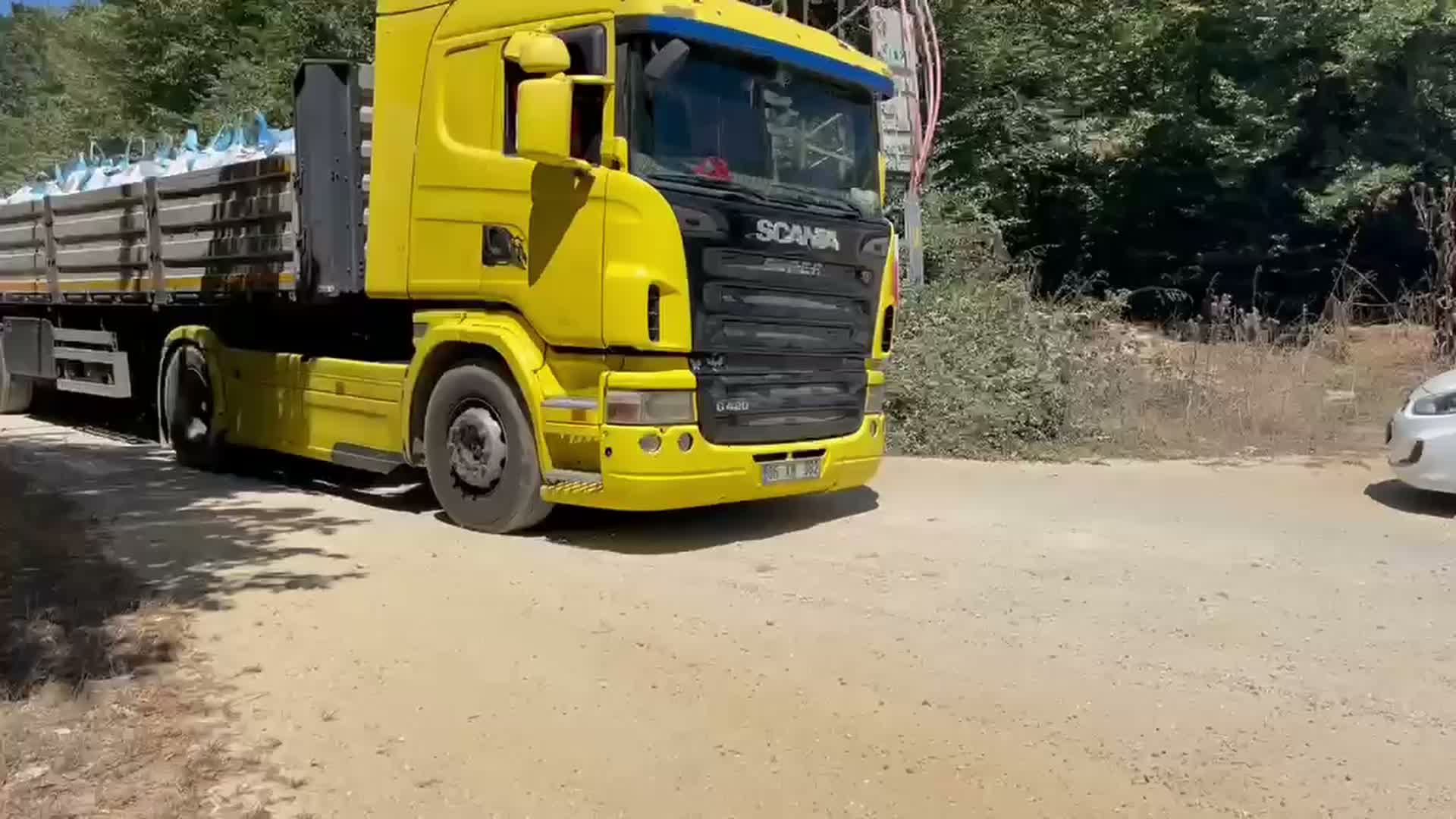 Orman Kesişi