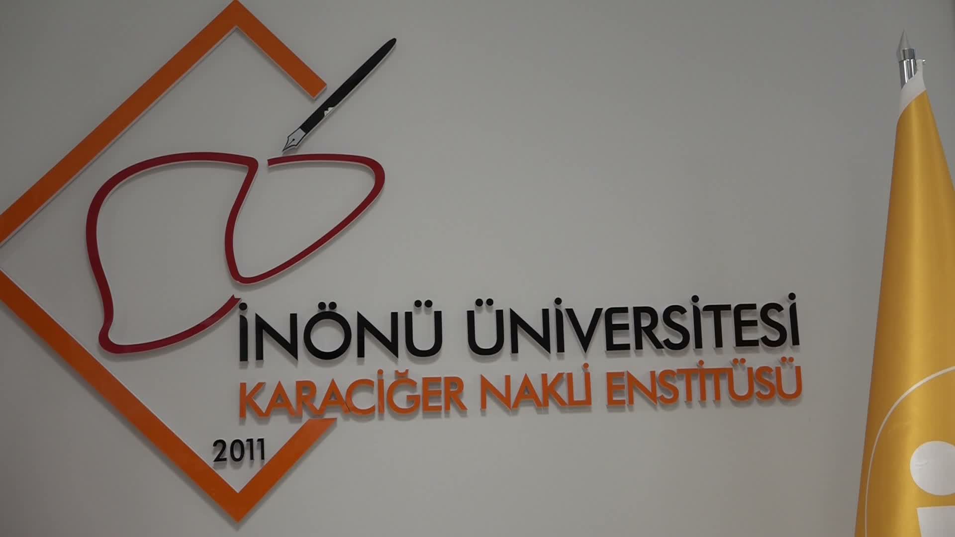 organ bağışı oranı