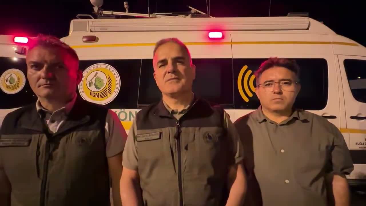 Orman yangını