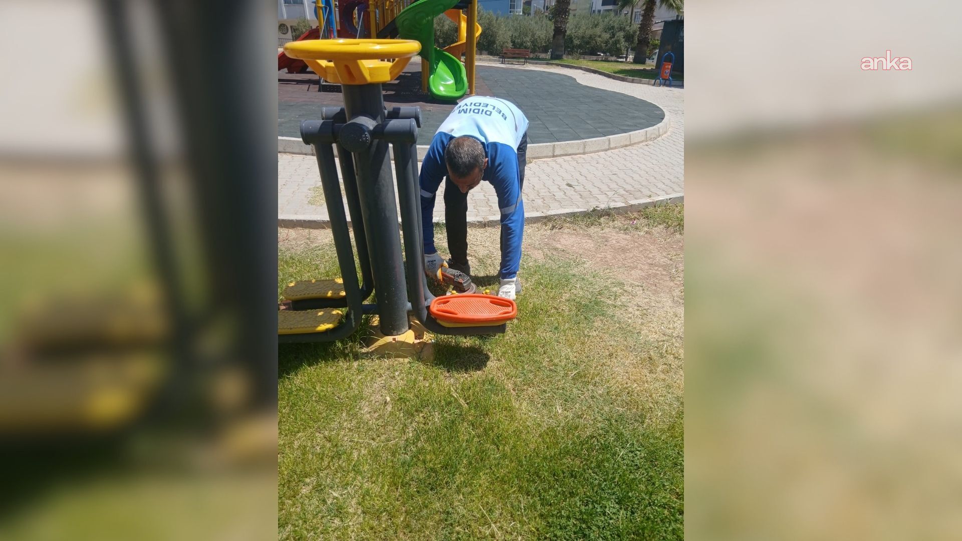 Didim park bakımı