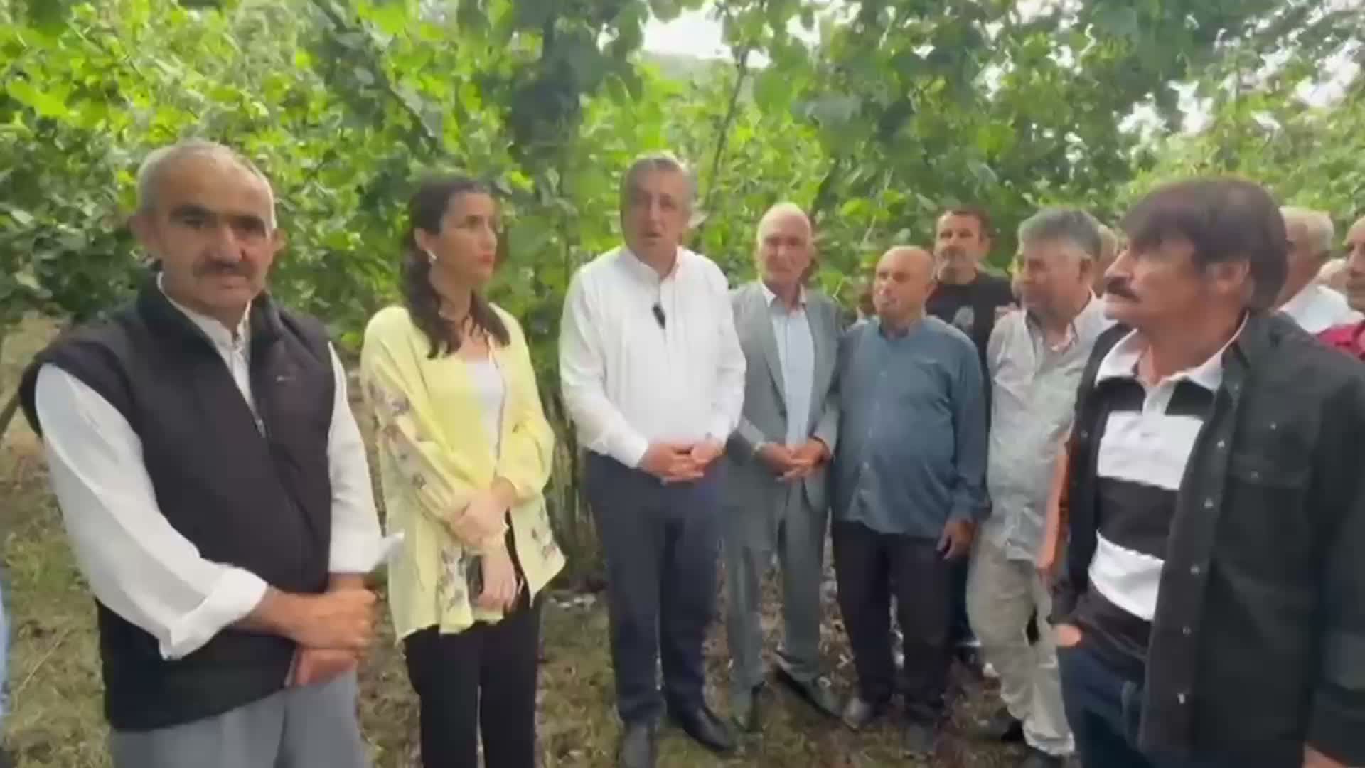 Ayvacık fındık üreticileri