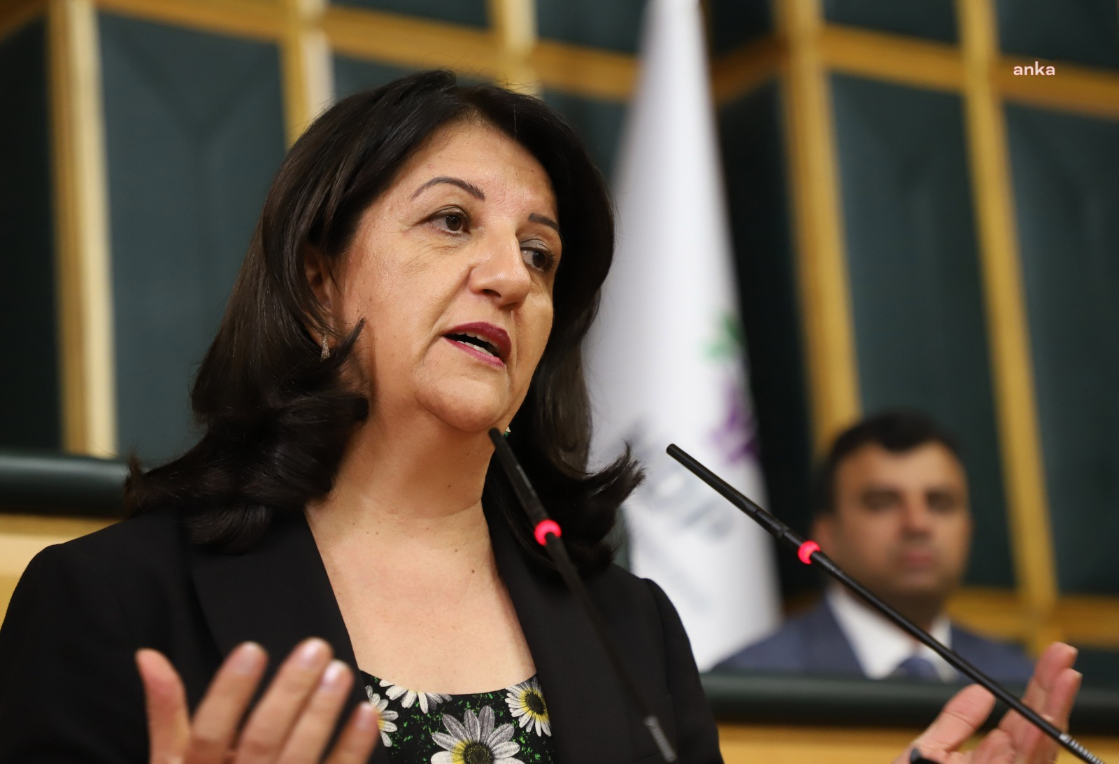 Çerçeve Yasa