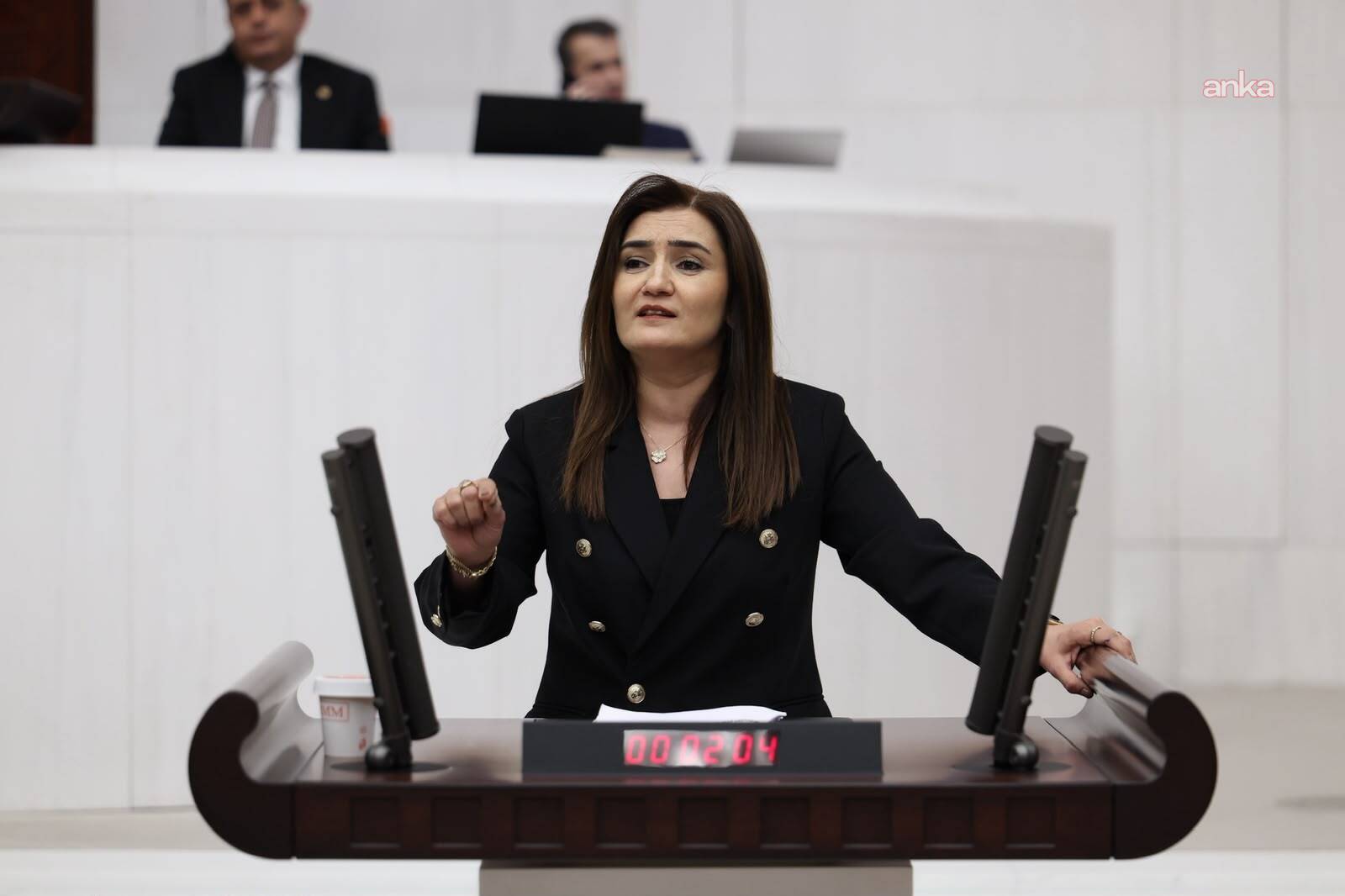 Sevda Erdan Kılıç