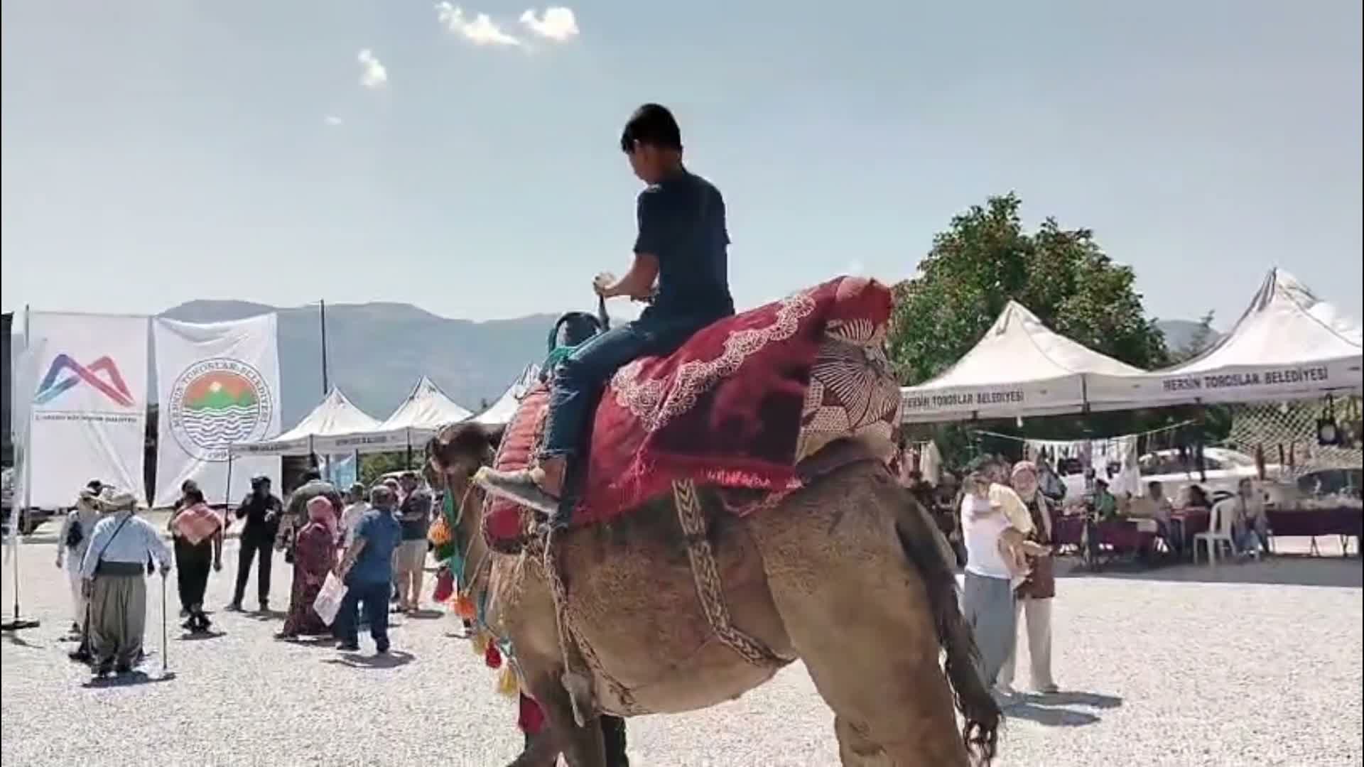 Toroslar'da binlerce