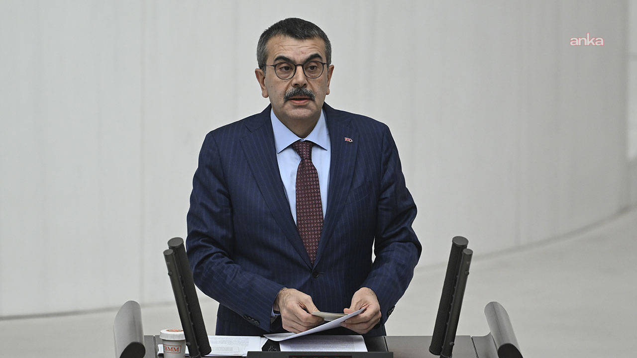 mesleki çalışma