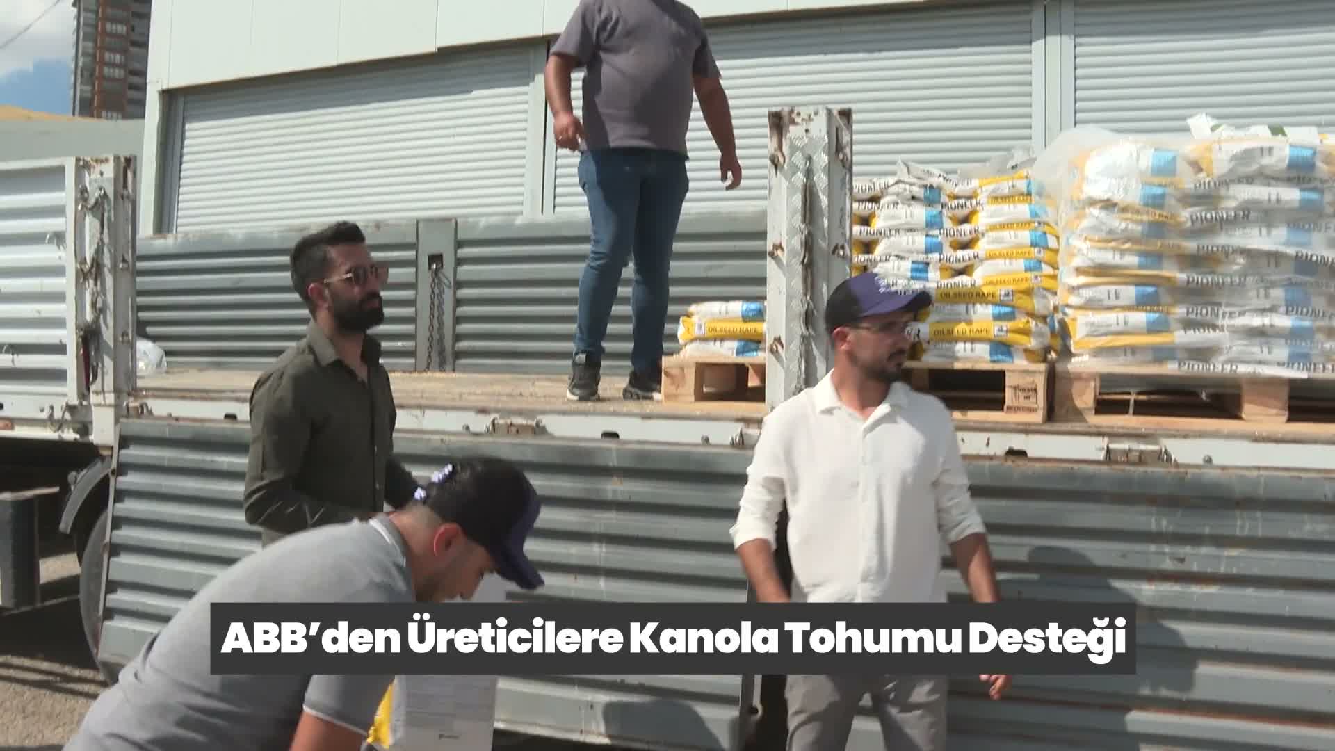 kanola tohumu desteği
