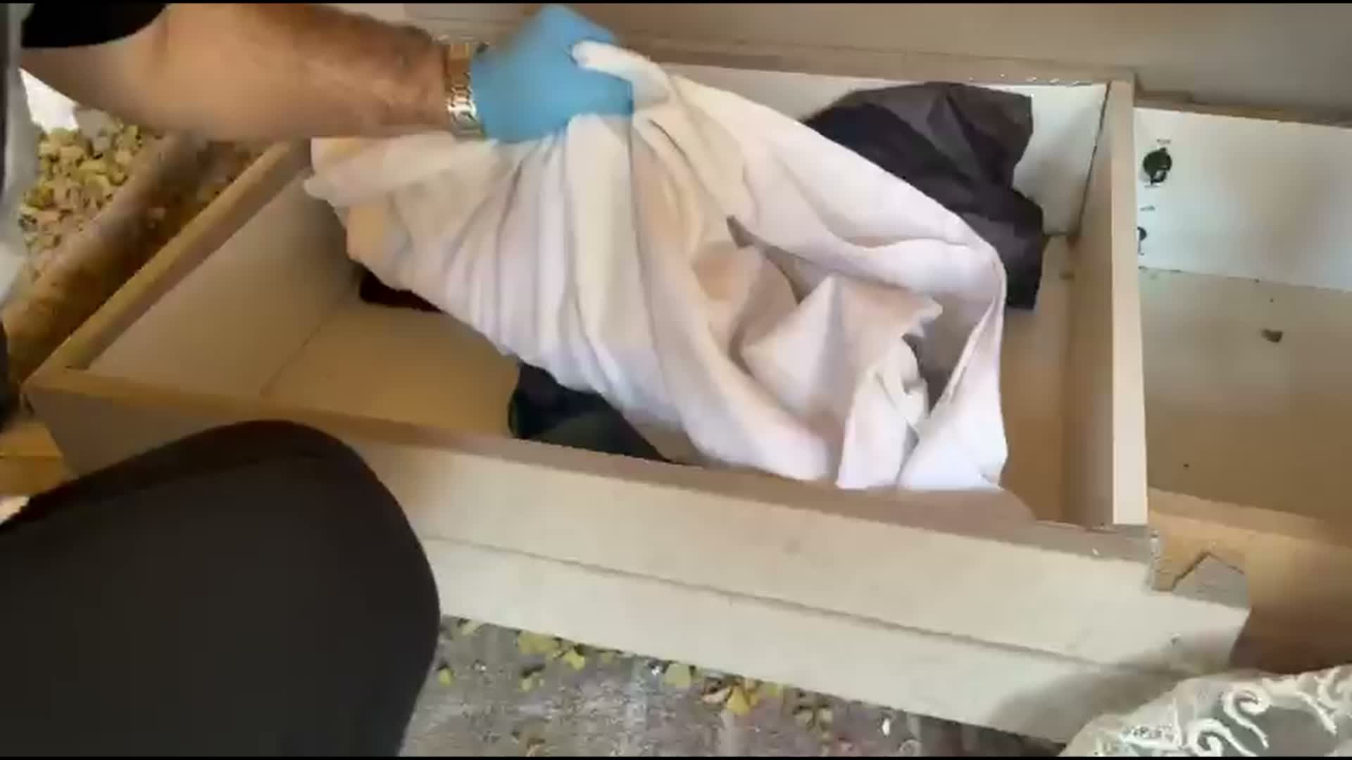 İstanbul Suç Operasyonu