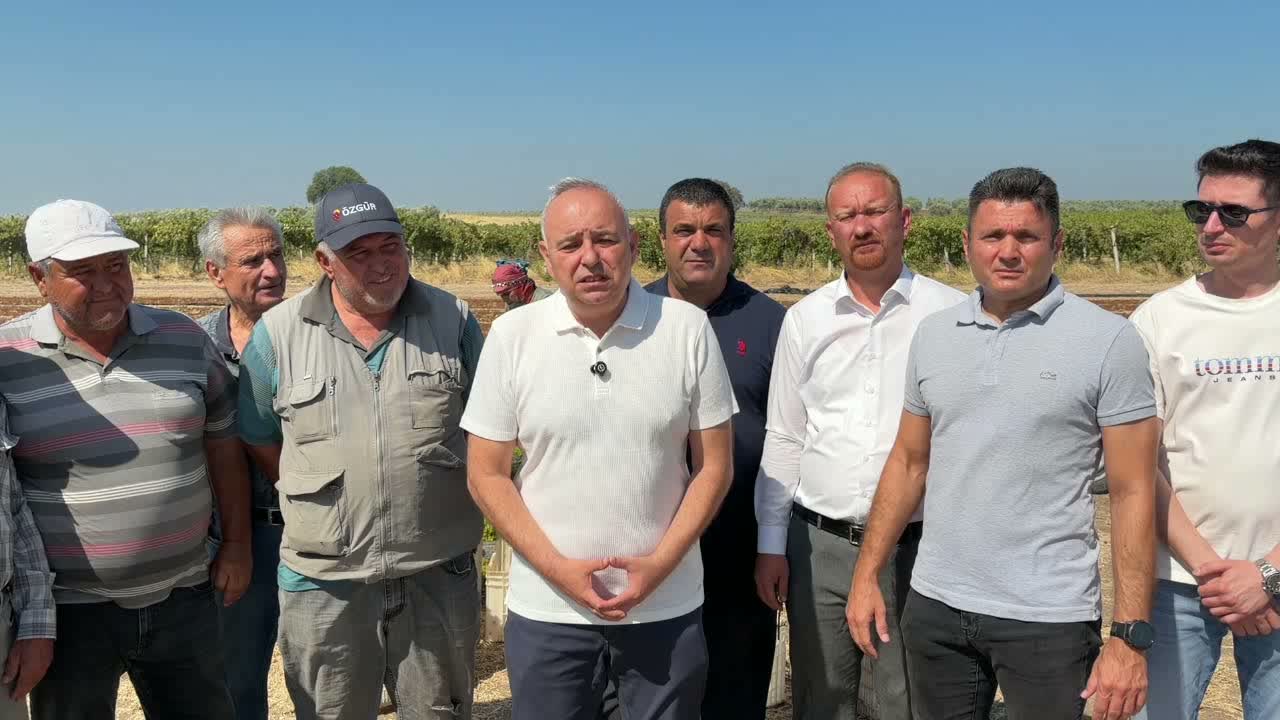 Üzüm Fiyatları