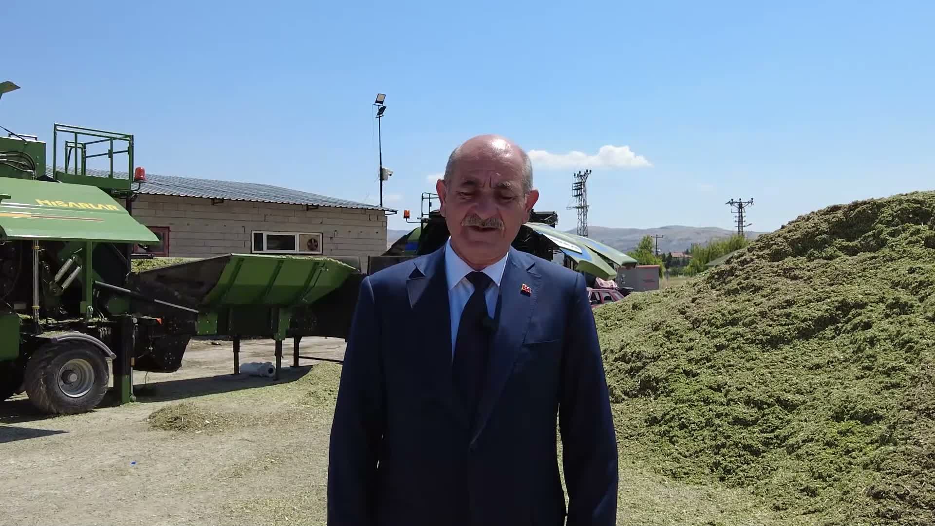 Kalecik Belediyesi Yarı Ürün Mısır Silajı ile Hayvancılığa 50% Hibe Sunuyor