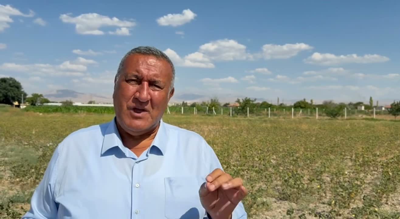 baklagil ithalatı