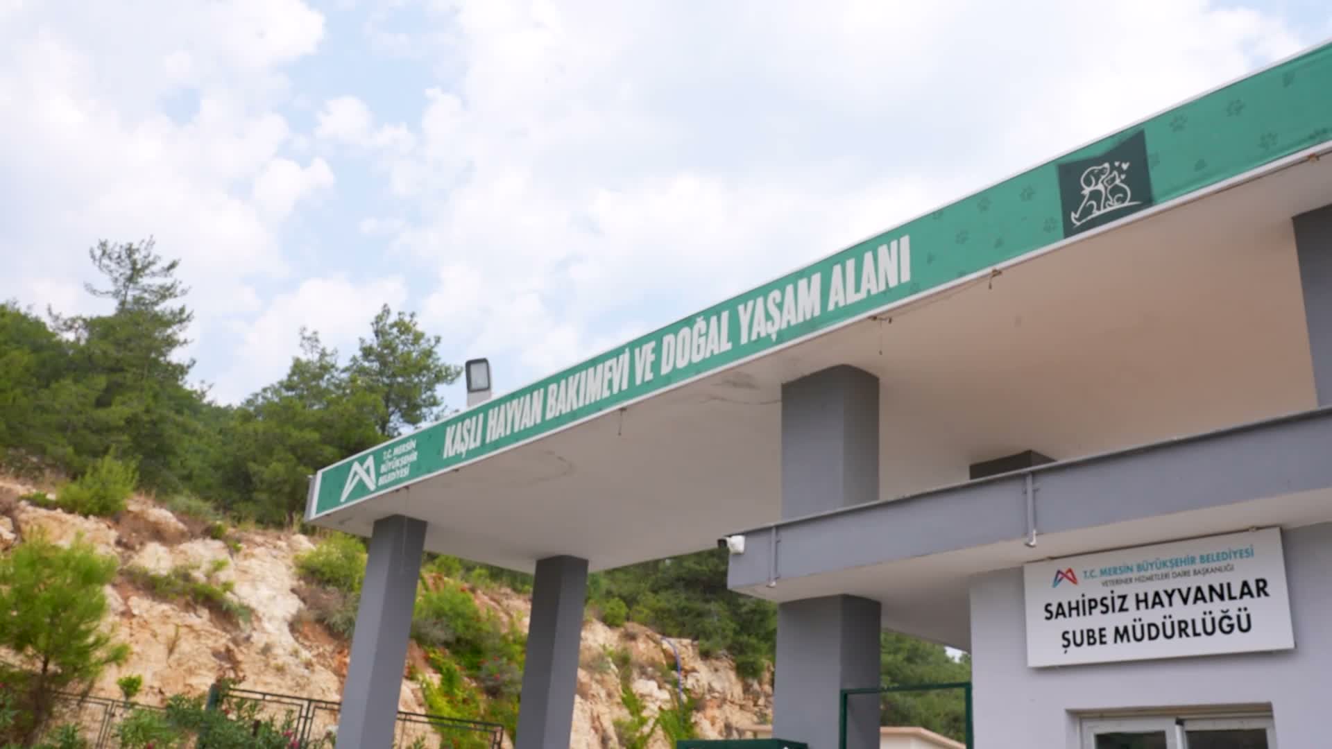 Pet Kuaför İş Birliği