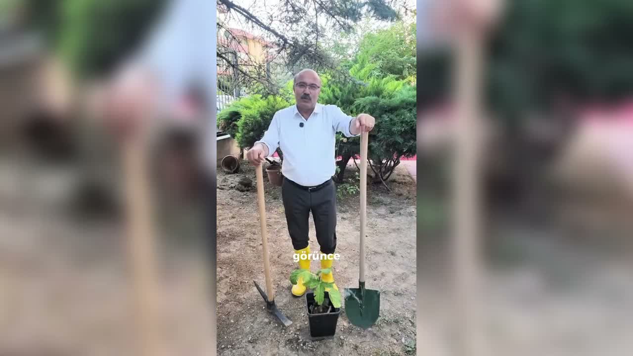 ağaç dikme eleştirisi