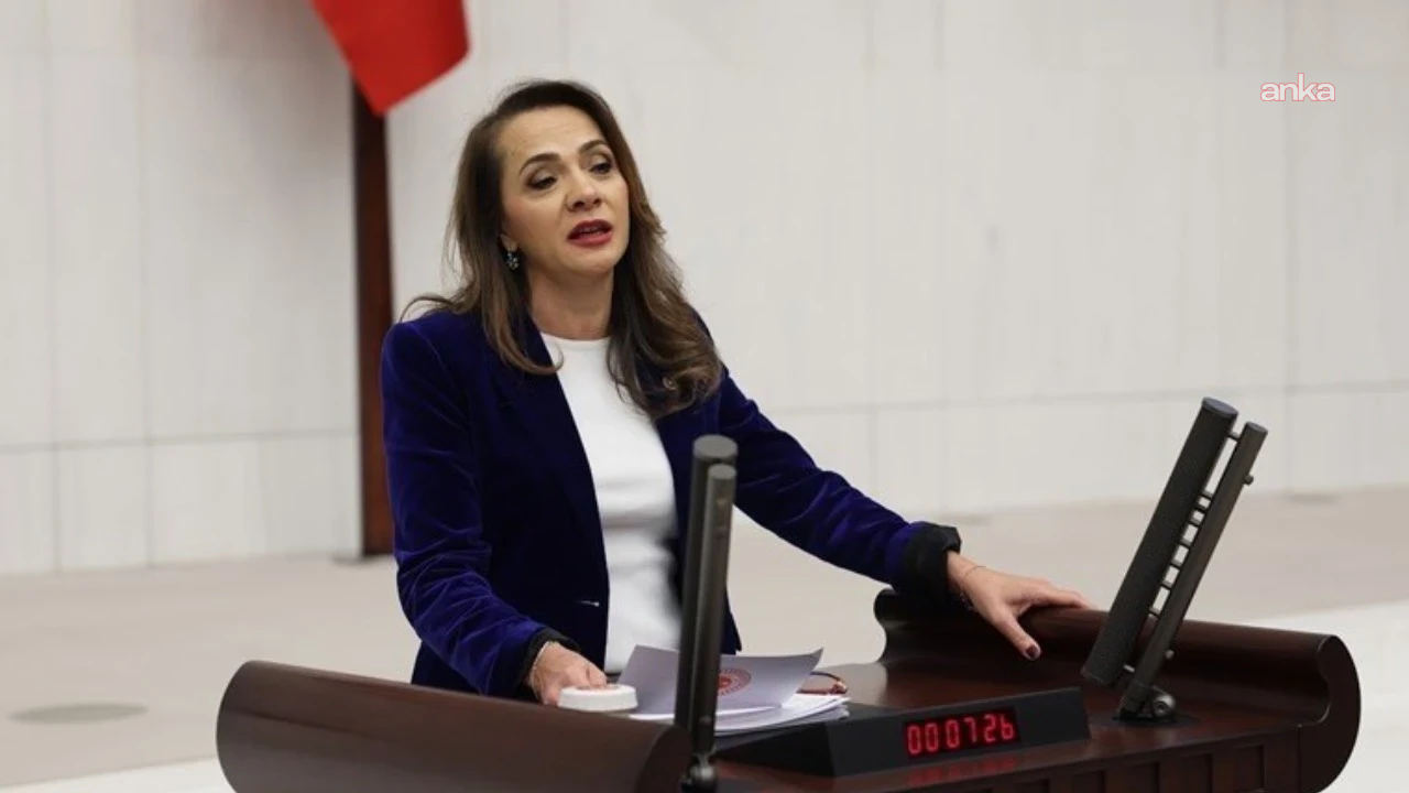 Otoyol Özelleştirme