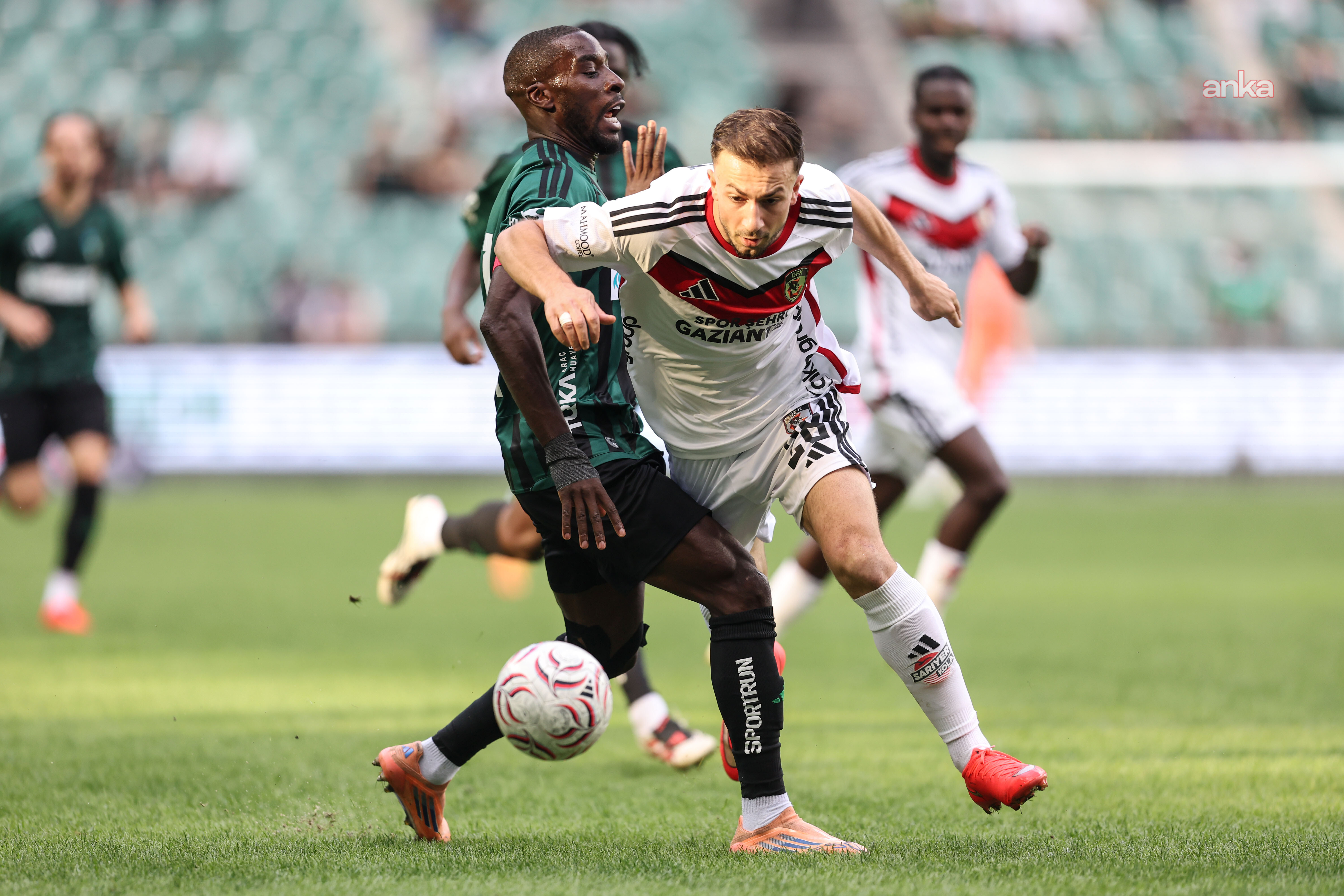 Kocaelispor Gelişmeleri