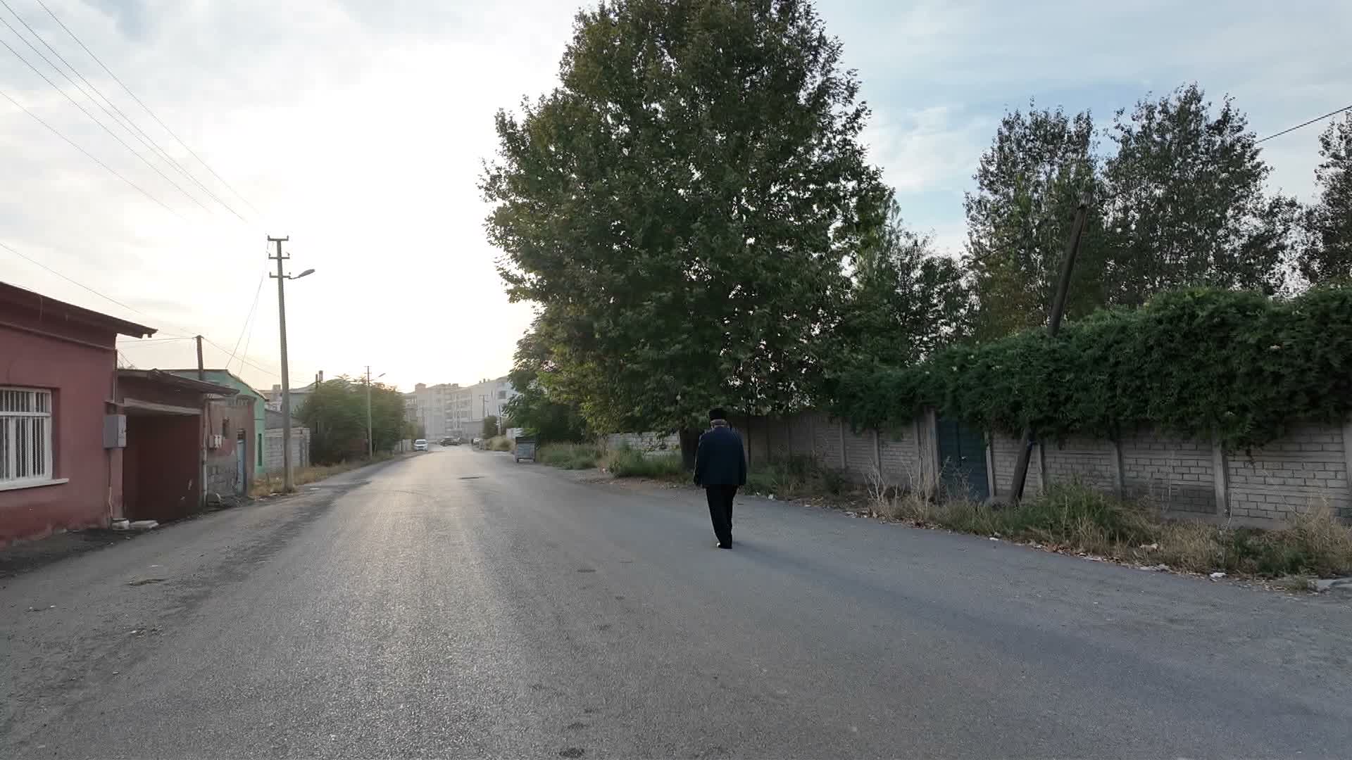 Kıbrıs Barış Harekâtı