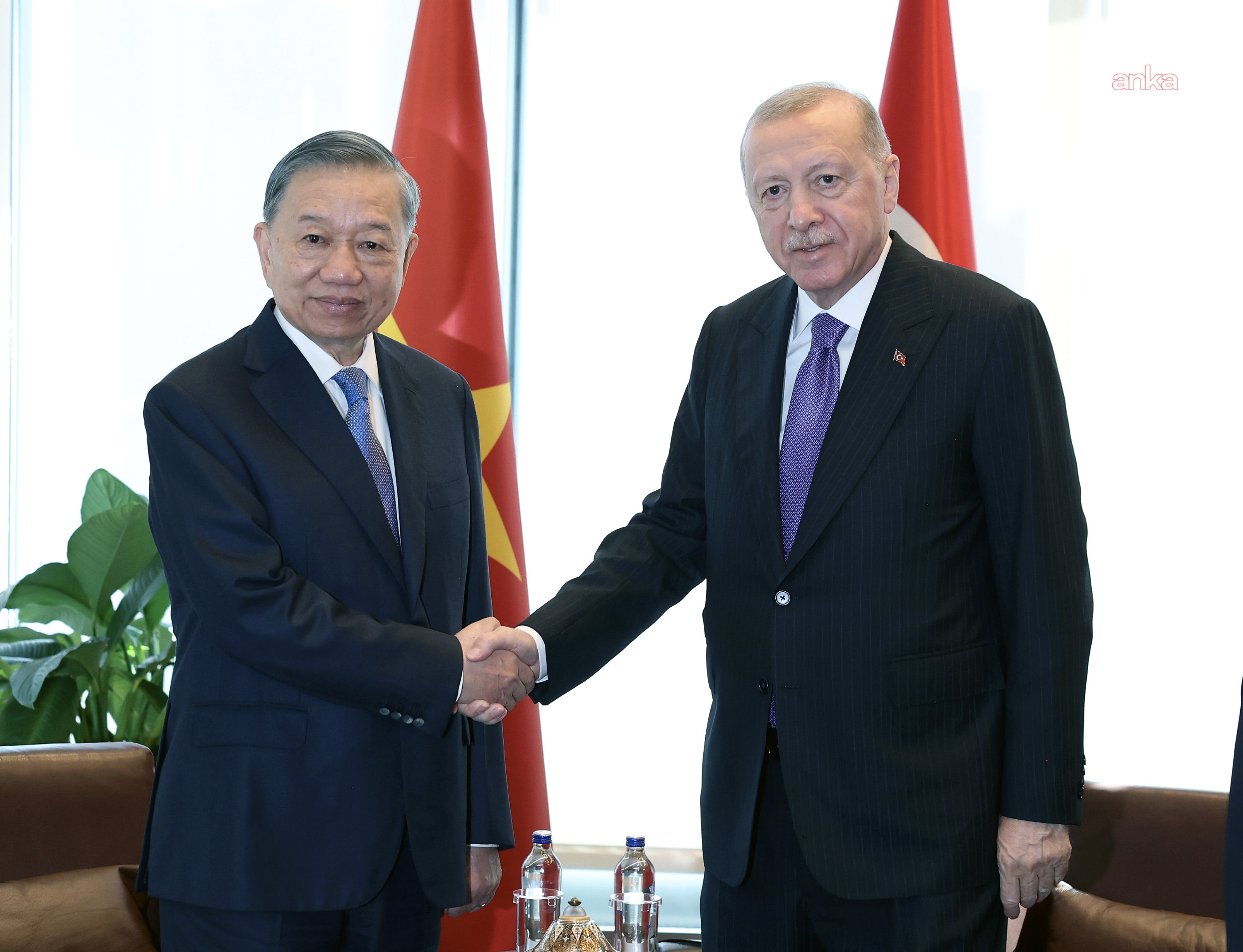 Erdoğan To Lam