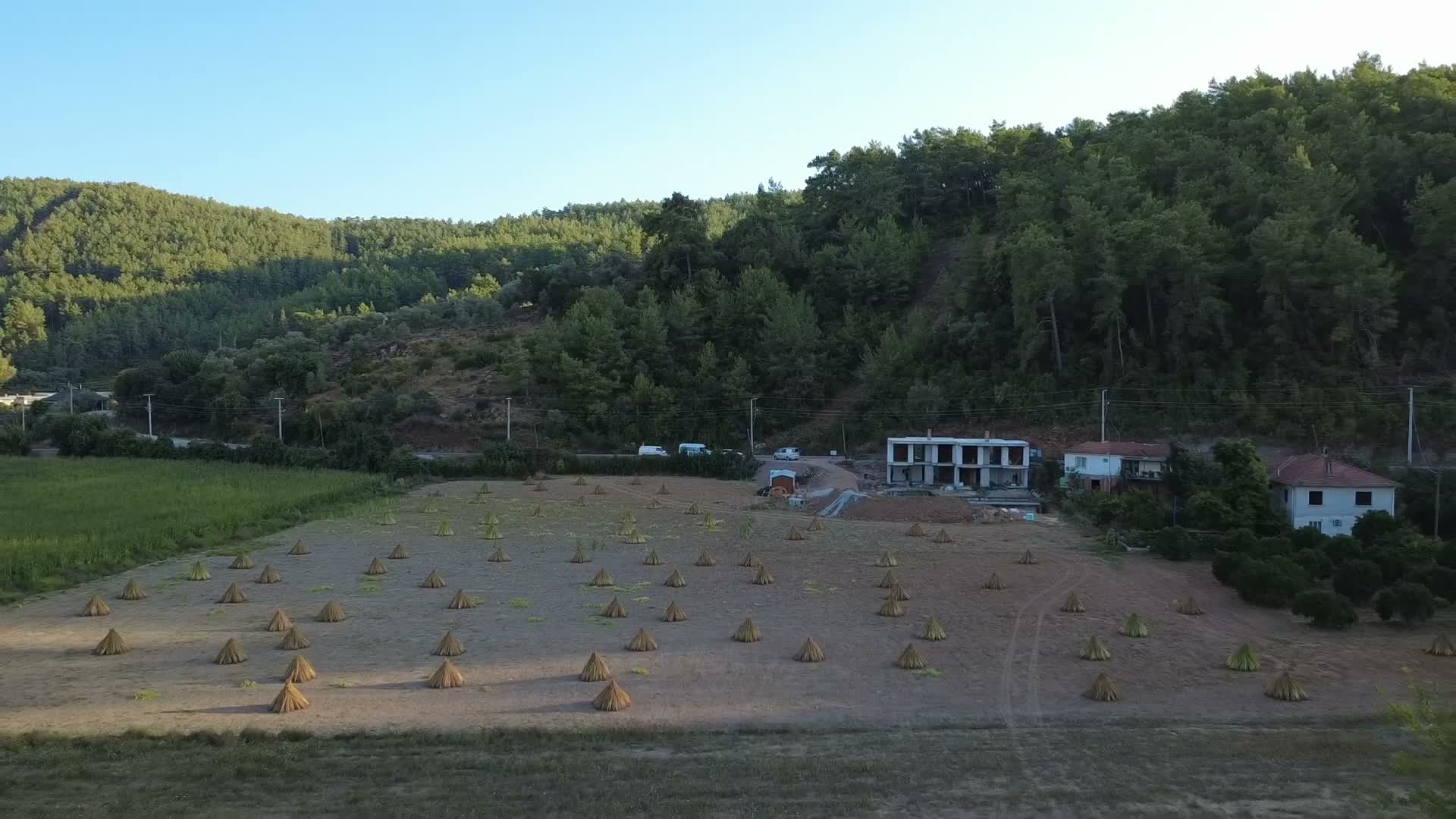 Gökova’da susam