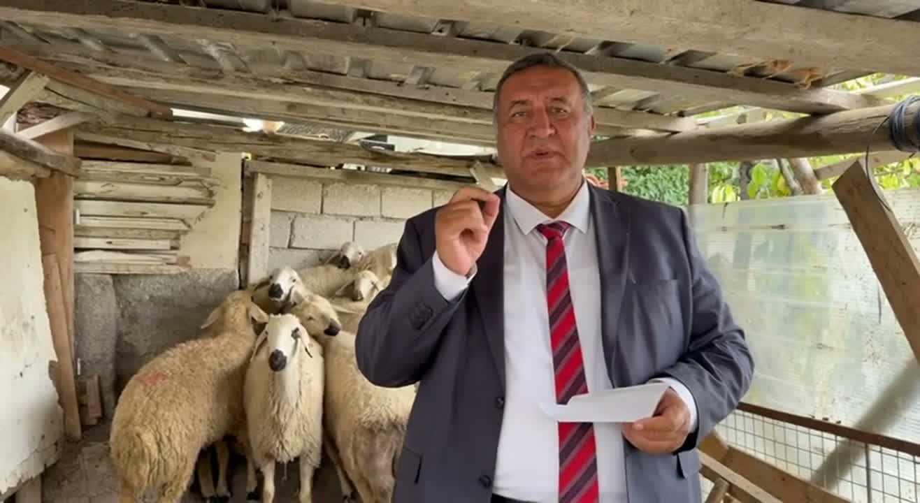 Hayvancılık Kayıpları